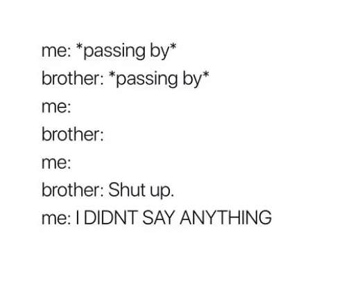 brother memes