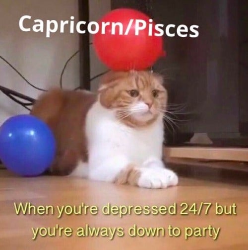 Best Capricorn Memes