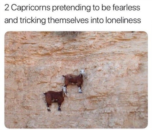 Best Capricorn Memes