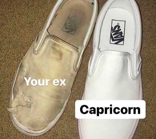 Best Capricorn Memes