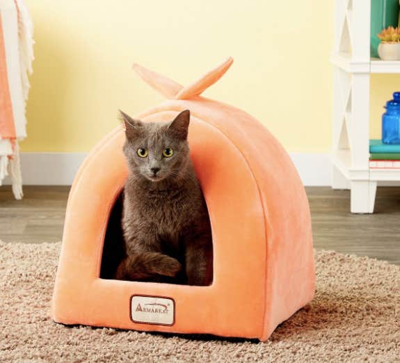 Armarkat cat and dog bed