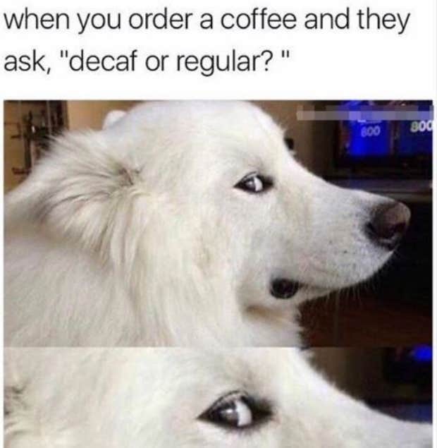 coffee memes