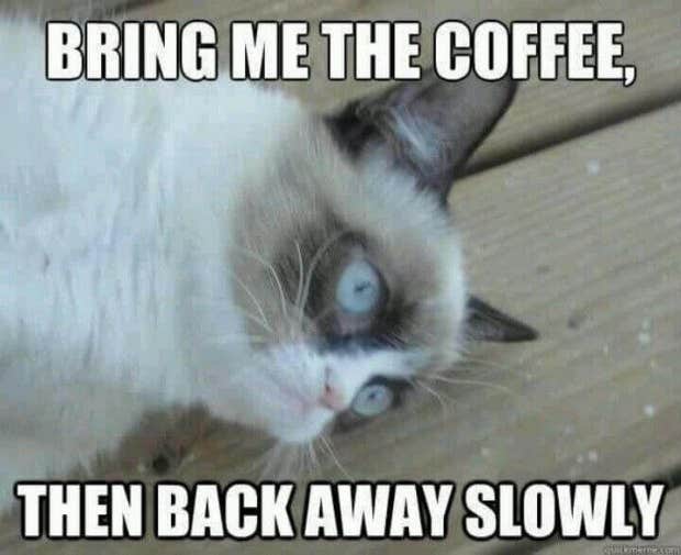 coffee memes