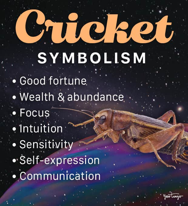 cricket symbolism