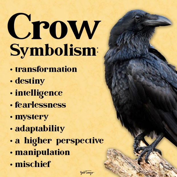 crow symbolism