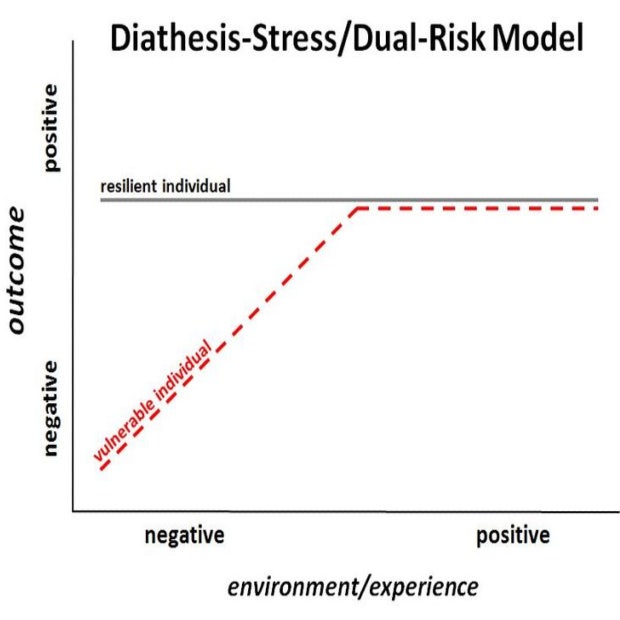 diathesis stress model