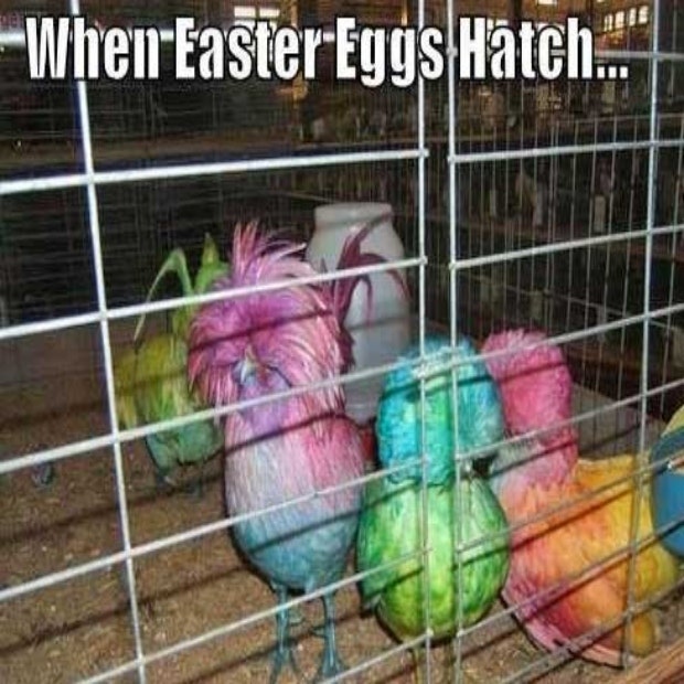 easter memes