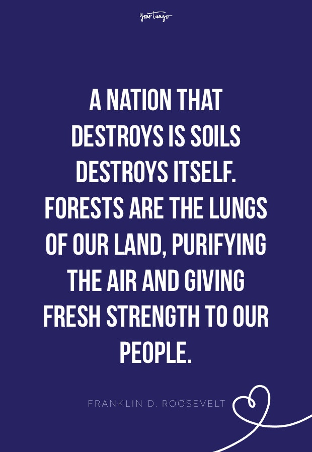 Franklin D. Roosevelt environment quotes