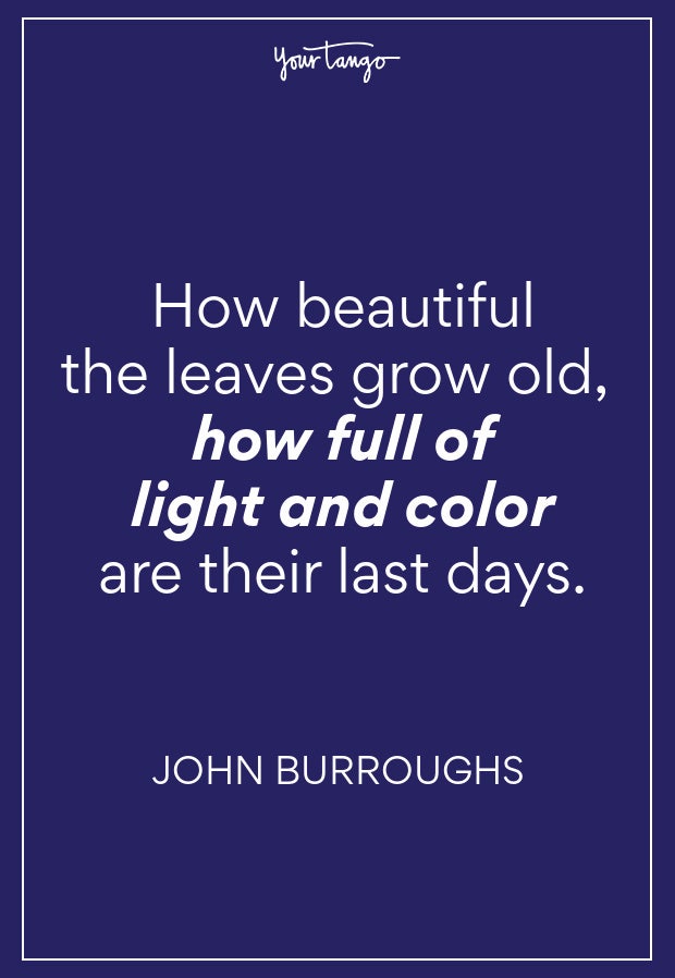 John Burroughs Fall Quote