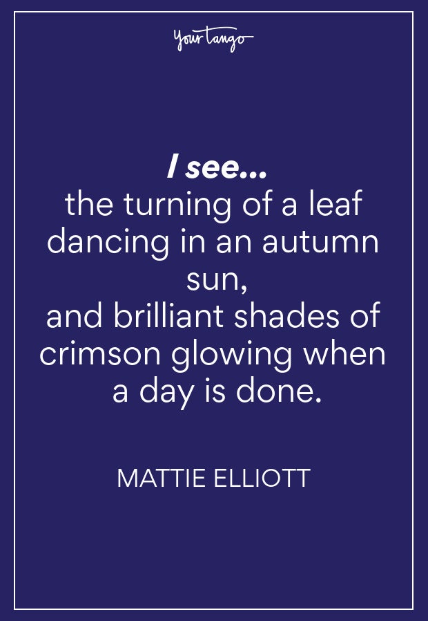 Mattie Elliott Fall Quotes