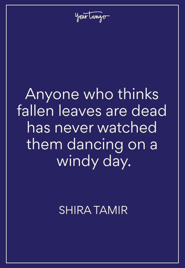 Shira Tamir Fall Quote