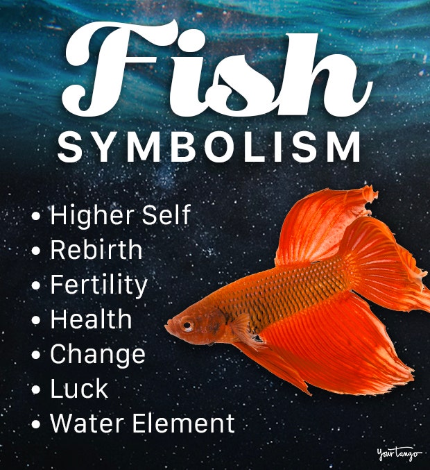 fish symbolism