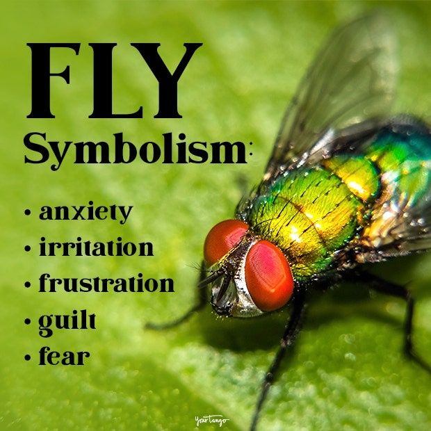 fly symbolism