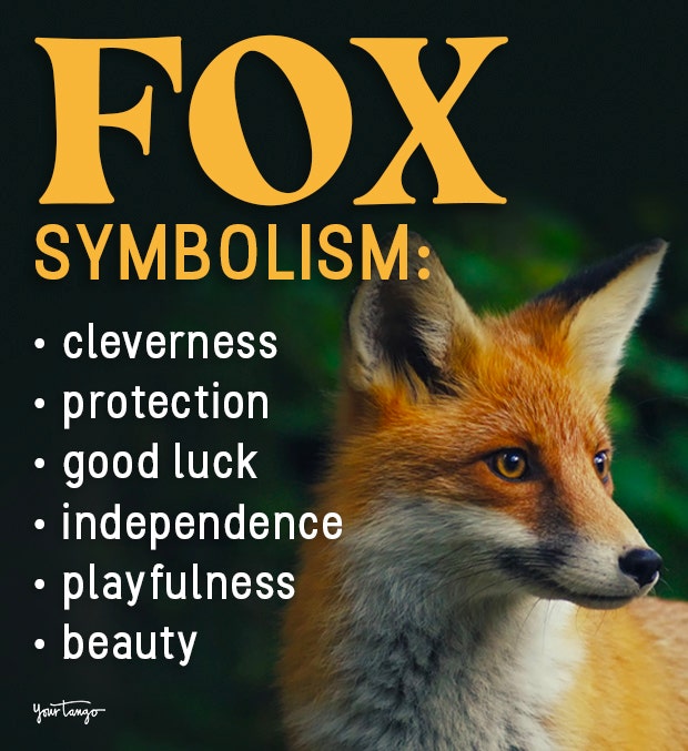 fox symbolism and meanings