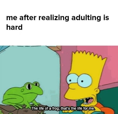 funny adulting memes