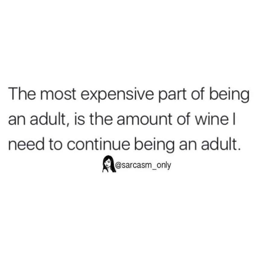 funny adulting memes