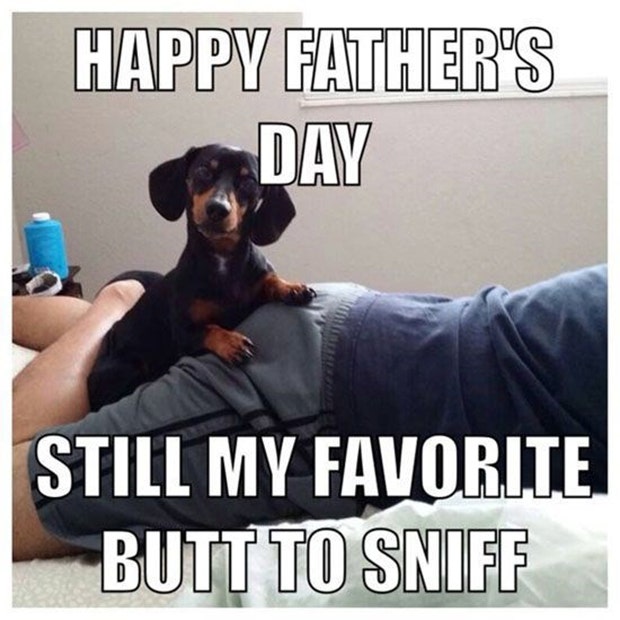 happy fathers day meme