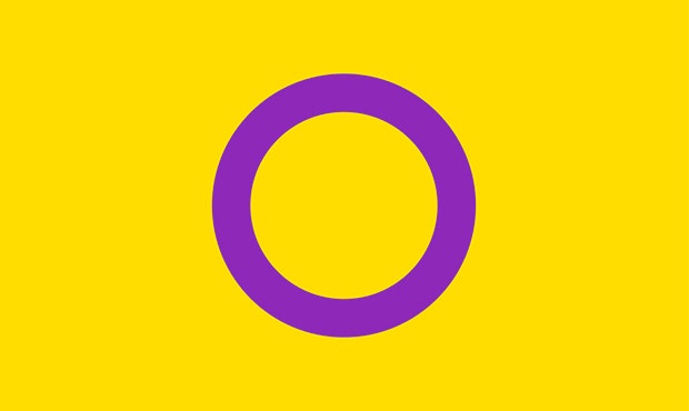 Intersex Pride Flag