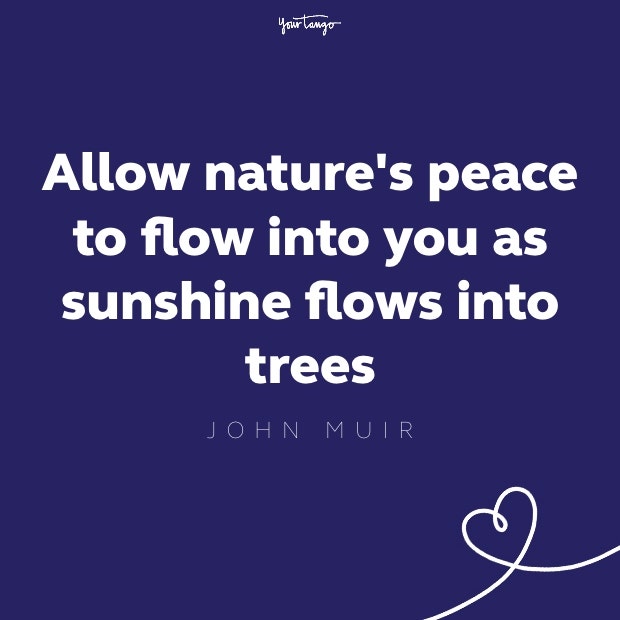 allow nature&#039;s peace to flow into you as sunshine flows through trees