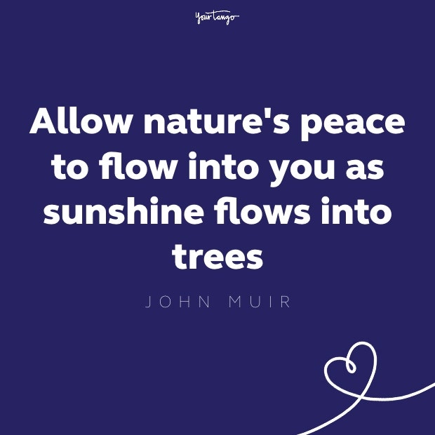 allow nature&#039;s peace to flow into you as sunshine flows through trees