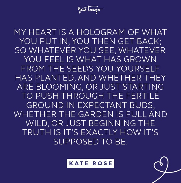 kate rose hologram quote
