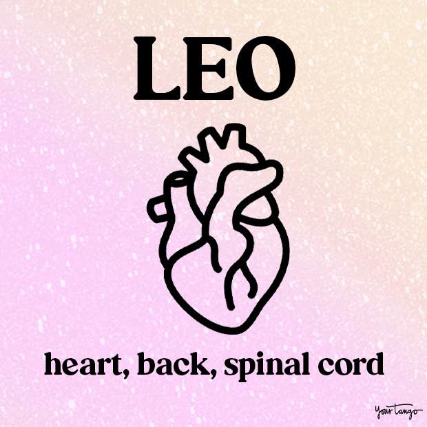 leo ruling body part