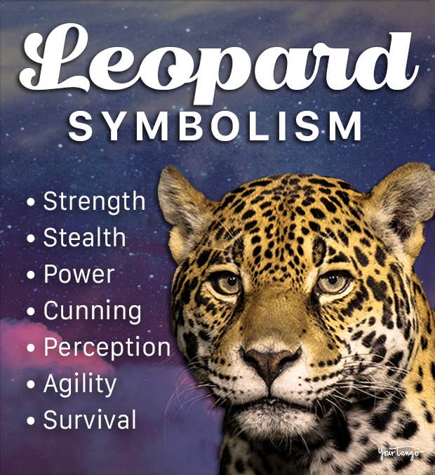 leopard symbolism