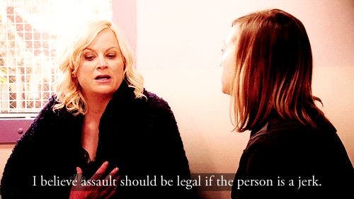 i believe assault should be legal if the person is a jerk leslie knope