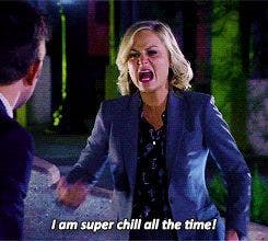 i am super chill all the time leslie knope