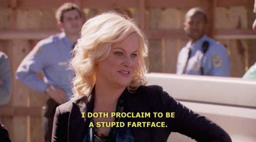 i doth proclaim to be a stupid fart face leslie knope