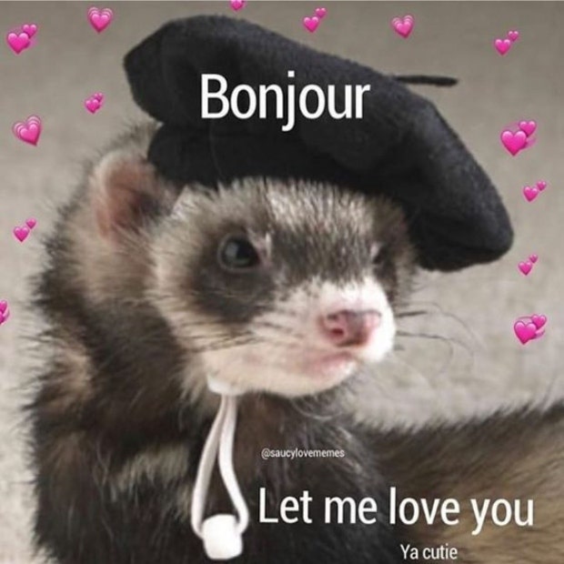 love meme bonjour
