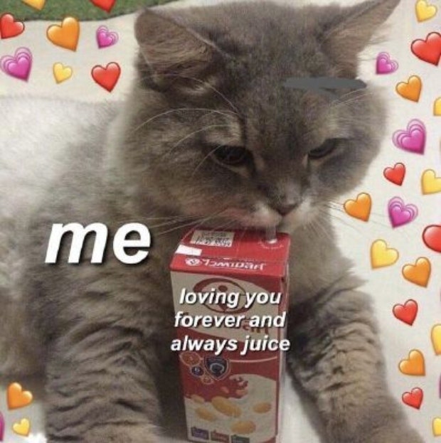 love meme always and forever juice