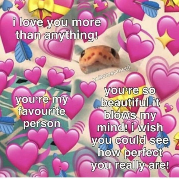 love memes i love you more than anything