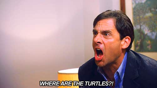 michael scott turtles quote