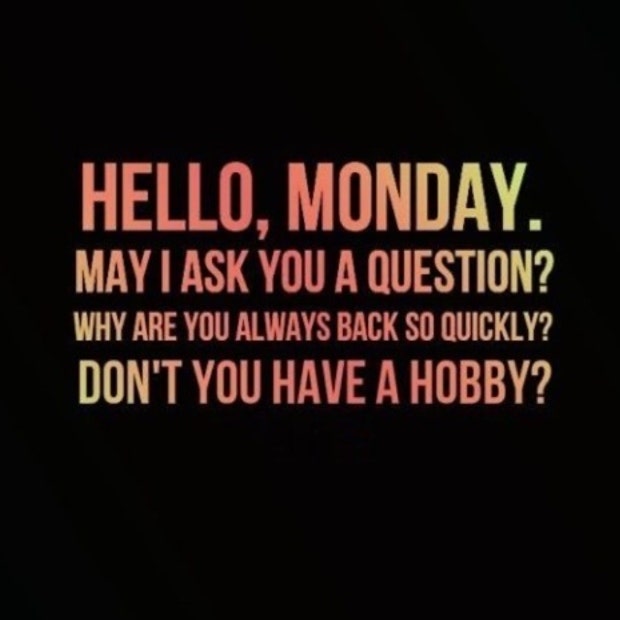 Hello, Monday. May I ask you a question? Why are you always back so quickly? Don&#039;t you have a hobby?