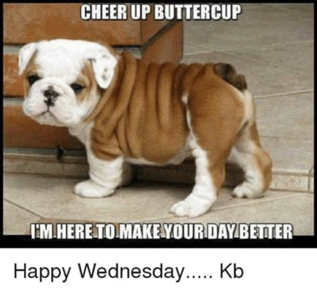 motivational memes inspirational meme