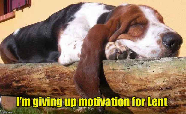 motivational memes inspirational meme