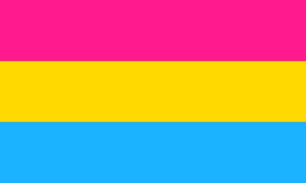 pansexual pride flag