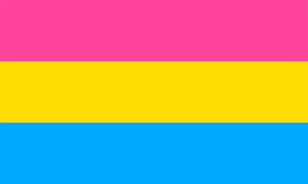 Pansexual Pride Flag