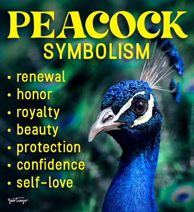 peacock symbolism