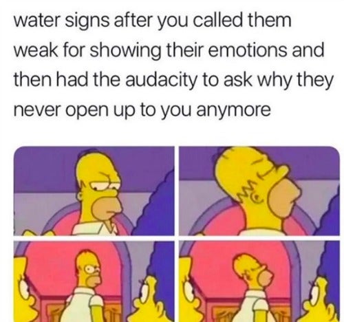 Best Pisces Memes