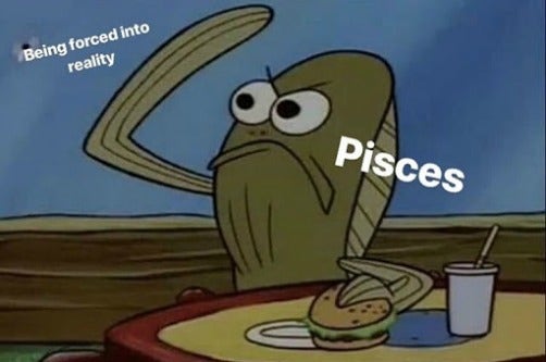 Best Pisces Memes