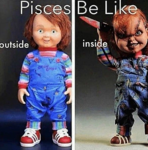 Best Pisces Memes