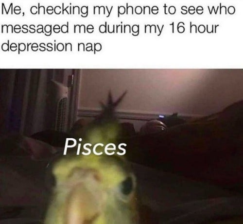 Best Pisces Memes