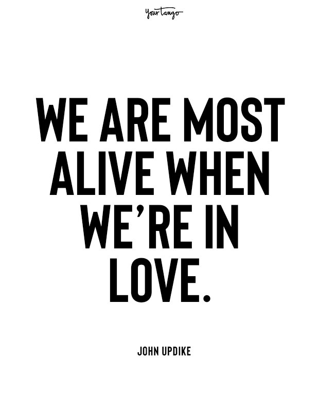 john updike beginning love quotes