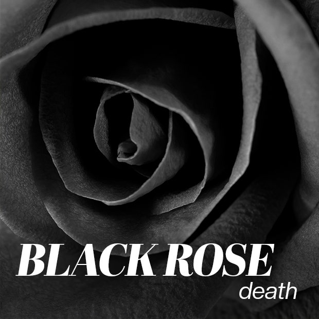 black rose color meaning