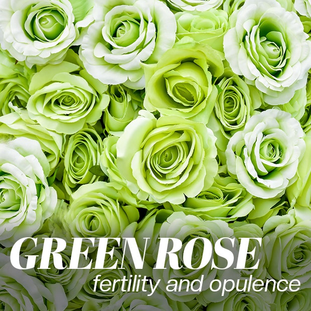 green rose color meaning