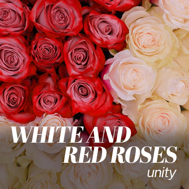 white and red roses color meaning