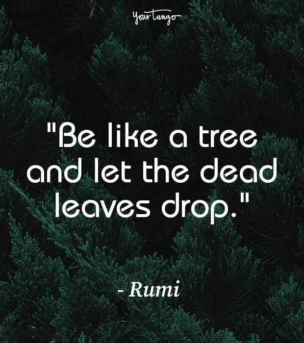 rumi quotes