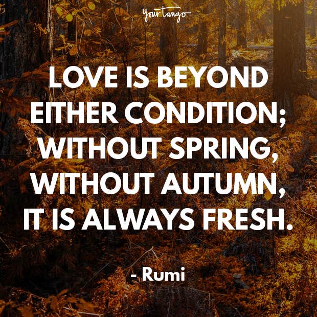 rumi quotes